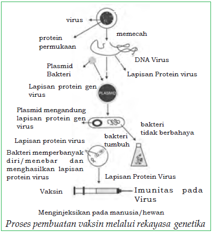 Saudara saya sedang menderita cacar air dan saya belum 